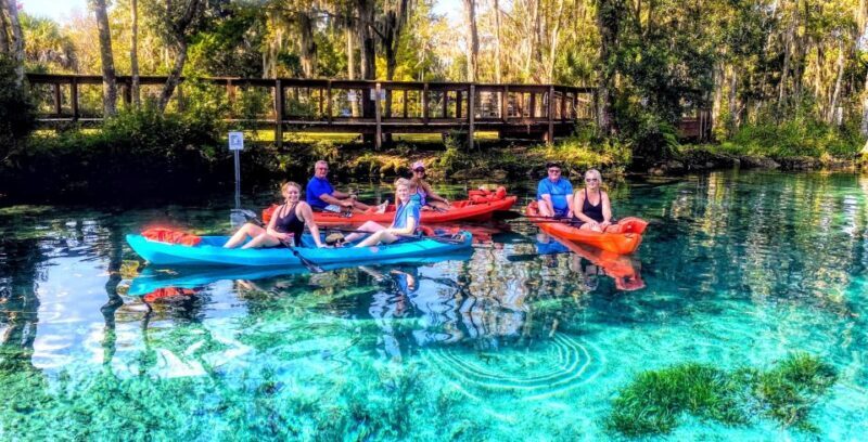 Crystal River:Three Sisters Springs Guided Kayak & Swim Tour - The Sum Up