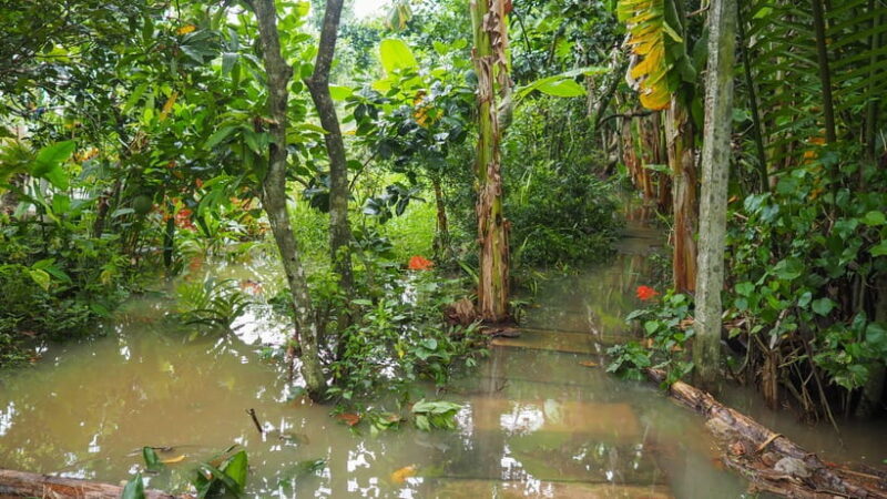 Cu Chi Tunnels & Mekong Delta Small Group Tour Full Day - An In-Depth Look at the Tour Experience