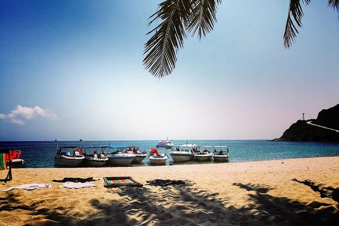 Cu Lao Cham Island Tour from Da Nang/ Hoi An - The Itinerary: What to Expect on Your Day Trip
