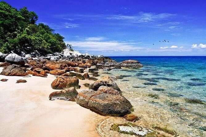 Cu Lao Cham Island Tour from Da Nang/ Hoi An - Details That Matter to You