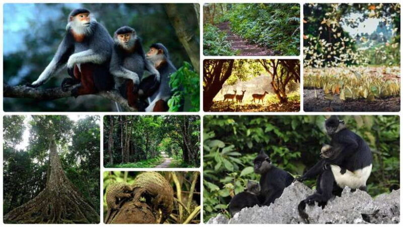 Cuc Phuong National Park Adventure: Nature Tour in 1 day - What We Liked and What to Keep in Mind