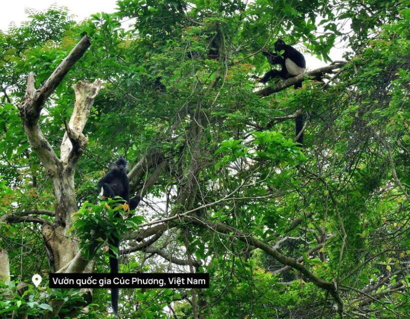 Cuc Phuong National Park Adventure: Nature Tour in 1 day - FAQ