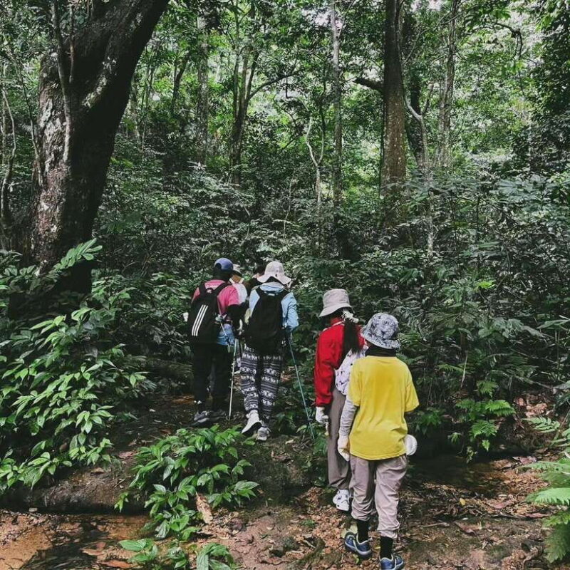 Cuc Phuong National Park And Van Long Wetlands 2 Days Tour - Key Points