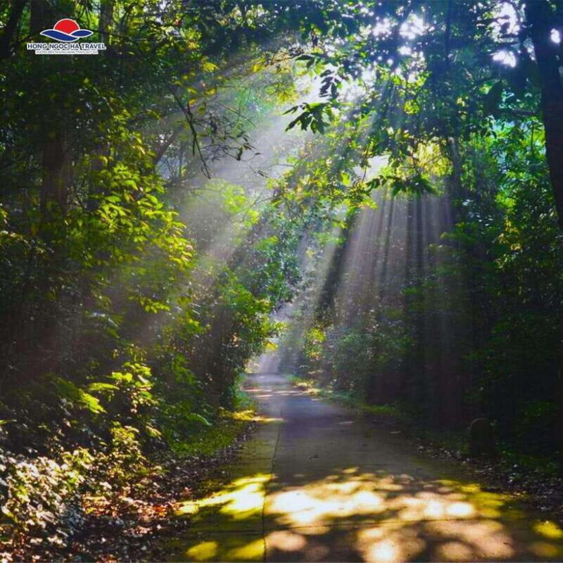Cuc Phuong National Park And Van Long Wetlands 2 Days Tour - Practical Details and Tips