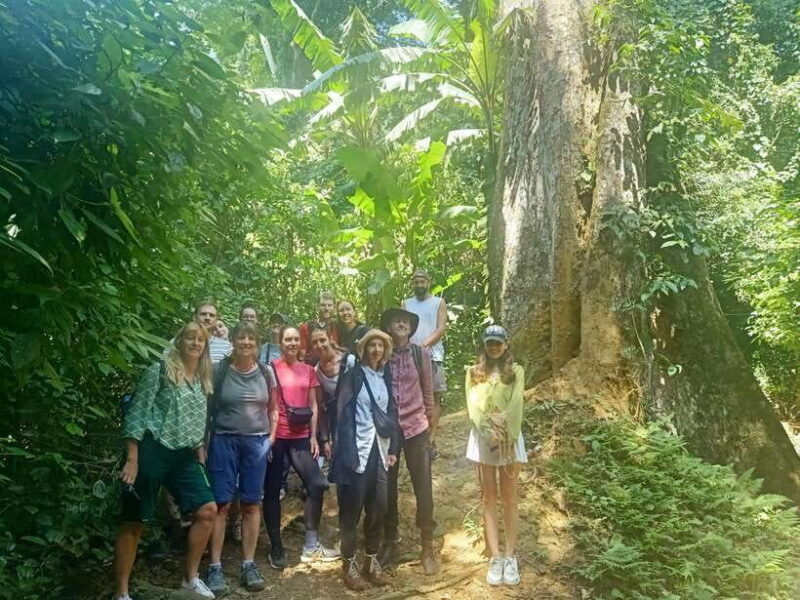 Cuc Phuong National Park Full Day Trip From Hanoi - A Practical Guide to the Cuc Phuong National Park Full Day Trip