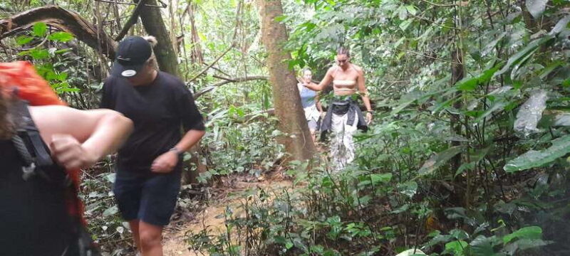 Cuc Phuong National Park Hiking Tour - Introduction