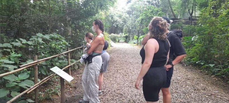 Cuc Phuong National Park Hiking Tour - Key Points
