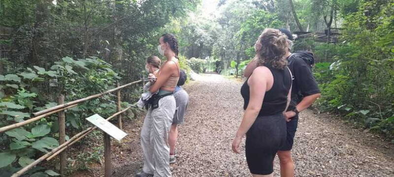 Cuc Phuong National Park Hiking Tour - Price & Value