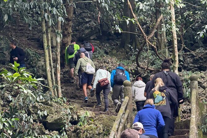 CUC Phuong National Park One Day Small Group - Authentic Experiences & Traveler Insights