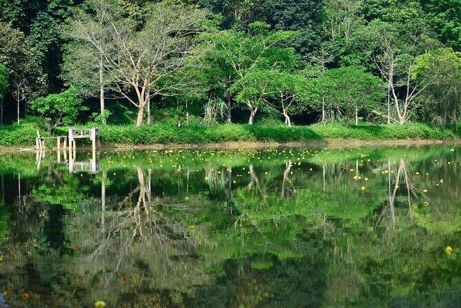 Cuc Phuong National Park Private Day Tour: Trekking & Primates - Practical Details: What You Need to Know