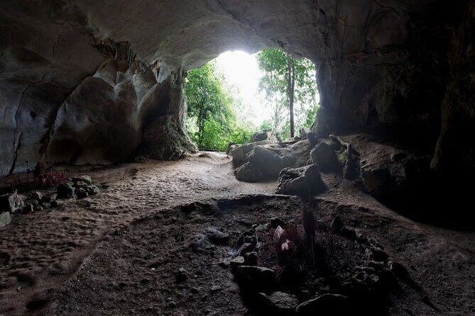 Cuc Phuong National Park Private Day Tour: Trekking & Primates - FAQs
