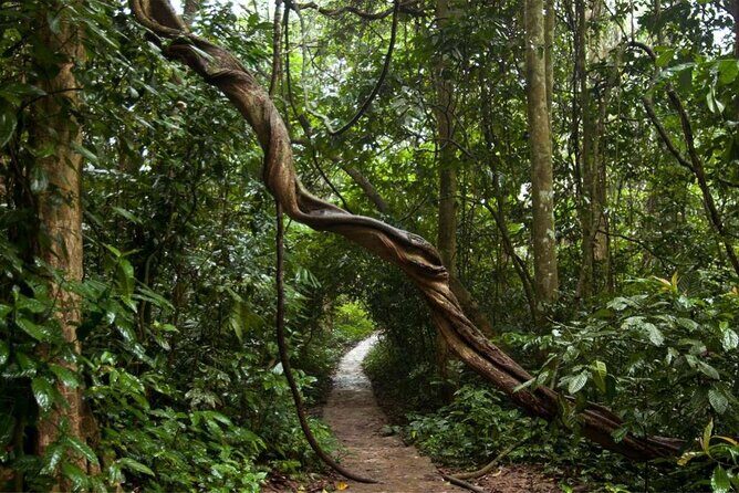 Cuc Phuong National Park Private Day Tour: Trekking & Primates - Final Thoughts
