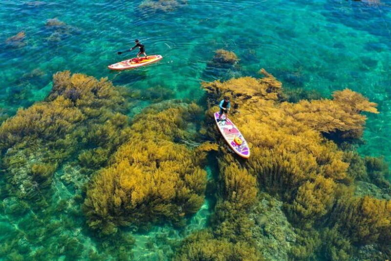 Cuc Phuong National Park Tour From Hanoi - Who Should Consider This Tour?