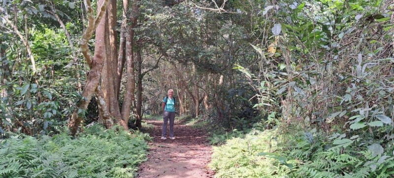 Cuc Phuong National Park - Van Long Day Trip From Hanoi - In-Depth Look at the Highlights