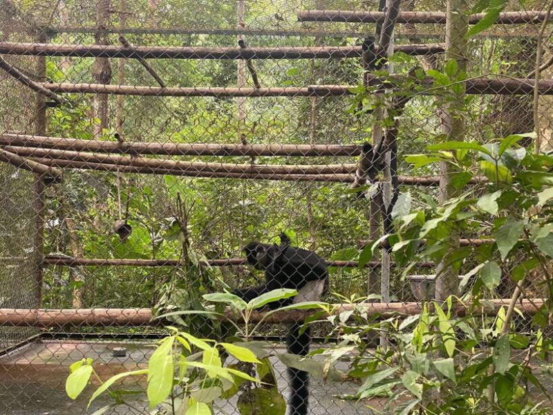 Cuc Phuong National Park - Van Long Day Trip From Hanoi - Practical Considerations & Tips