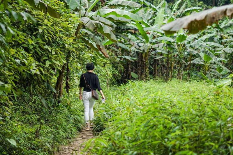 Cuc Phuong National Park - Van Long Day Trip From Hanoi - Frequently Asked Questions