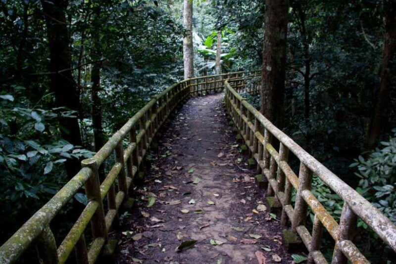 Cuc Phuong -Van Long Day Trip From Hanoi With Lunch/Transfer - Transportation, Timing, and Group Size