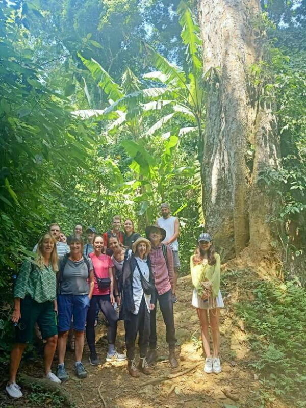 Cuc Phuong -Van Long Day Trip From Hanoi With Lunch/Transfer - Who Should Consider This Tour?