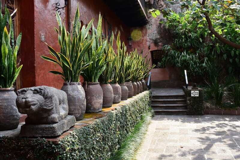 Cuernavaca: Museo Robert Brady Entrance Tickets - FAQ