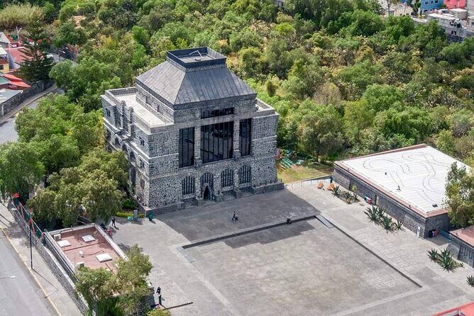 Cuicuilco Ruins, Xochimilco Boat Ride & Diego Rivera Museum. - A Deep Dive into the Tour Experience