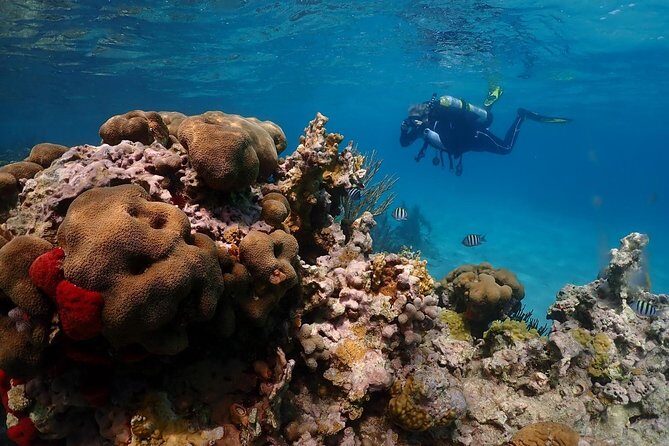 Culebra Snorkeling and beach Day Experience by boat - An In-Depth Look at the Tour Experience
