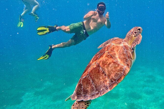 Culebra Swim with Turtles Adventure and Flamenco Beach by Ferry - An In-Depth Look at the Culebra Experience