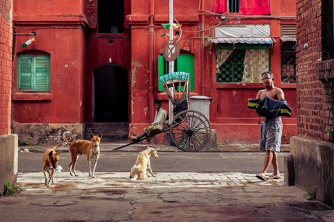 Cultural Confluence of Kolkata - Culture Kaleidoscope Tour - Discovering Kolkata’s Diversity in Three Hours