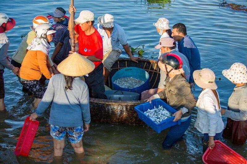 Cultural Cruise Discover Hoi An's Treasure & Rhum Production - Who Will Love This Tour?