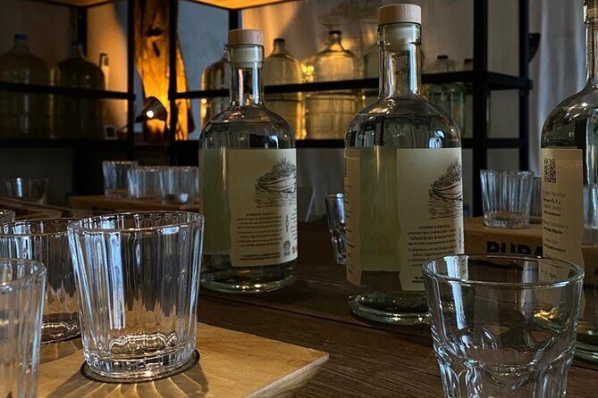 Cultural Tasting of 3 Roots in Puerto Vallarta - Who Should Consider This Tour?