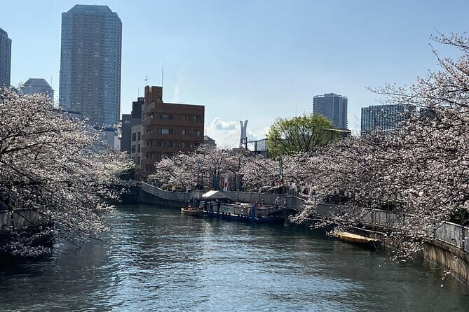 Cultural Temple Tour with a Real Local in Calm East Tokyo - Final Thoughts: Who’s This Tour For?