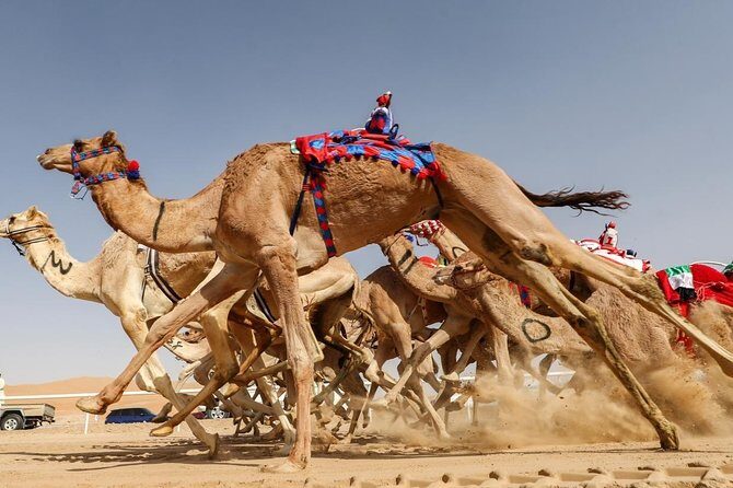 Cultural & Thrills: Sheikh Faisal Museum & Camel Race Adventure - The Sum Up