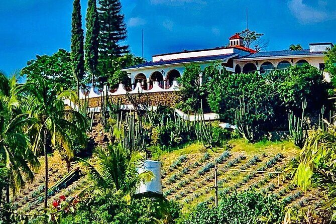 Cultural tour, city fields and distillery - The Sum Up