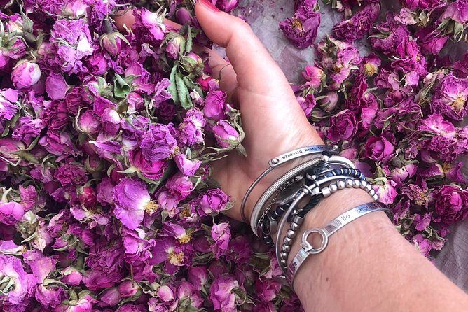 Cultural tour in Fez - The Sum Up: Is It Worth It?