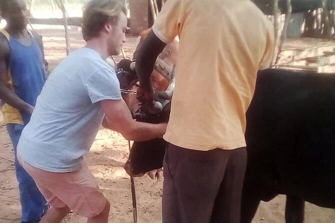 Cultural Village Tour,Interacting With the Communal Villagers (Educational Trip) - FAQ