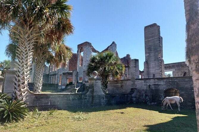 Cumberland Island Walking Tour - Final Thoughts: Why This Tour is a Solid Choice