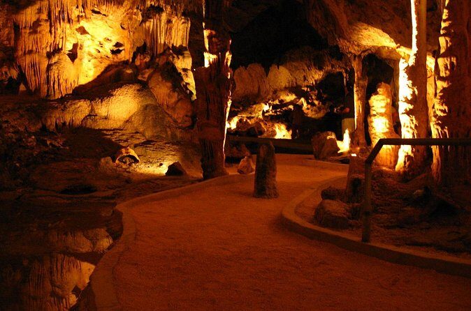 Curacao Beach and Hato Caves Tour - Who Will Love This Tour?