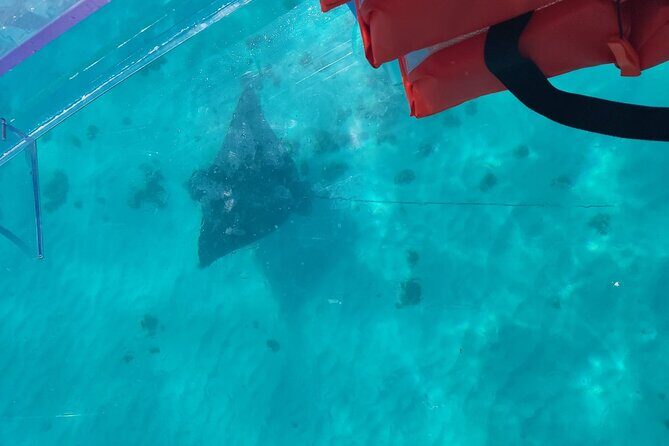 Curaçao ClearBoat Snorkel Tour  Daaibooi, Porto Marie & Cas Abao - FAQ
