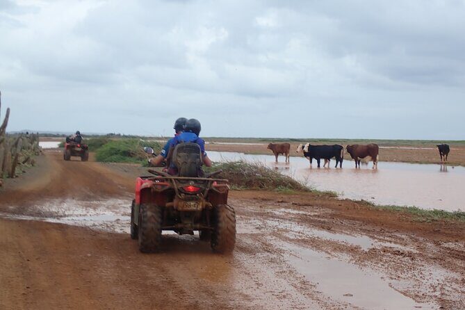 Curacao Half Day ATV East Adventure Tour - Who Will Love This Tour?