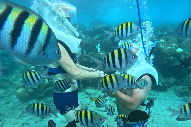 Curacao Helmet Diving-Walk the Ocean Floor, No Swimming Required - Practical Tips for Future Guests
