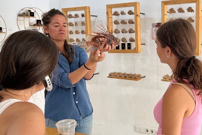 Curaçao Royal Trip - FAQs