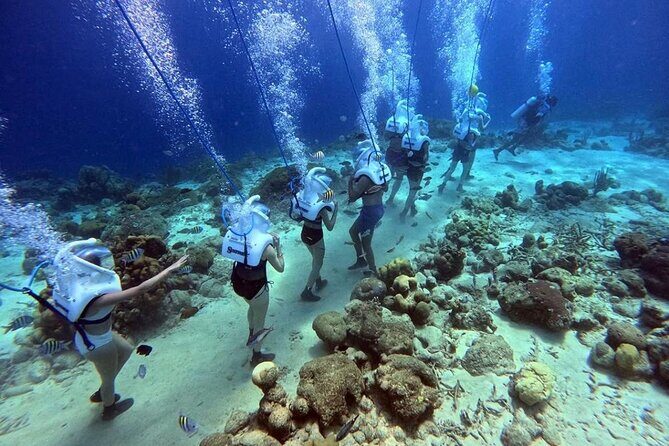 Curacao Sea Trek Snuba Combo Walk Tour and Dive the Ocean - Key Points