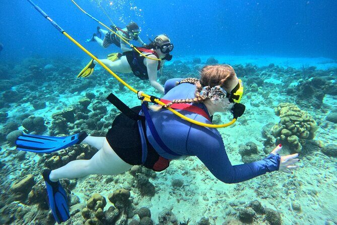 Curacao Sea Trek Snuba Combo Walk Tour and Dive the Ocean - A Close Look at the Tour Experience