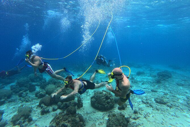 Curacao Sea Trek Snuba Combo Walk Tour and Dive the Ocean - The Sum Up