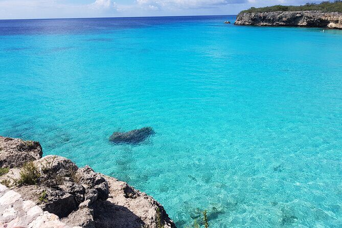 Curacao Sea Turtle Swim and West Side Natural Highlights - Key Points