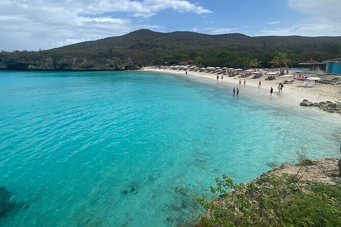 Curacao Sea Turtle Swim and West Side Natural Highlights - The Full Breakdown: What to Expect on the Tour