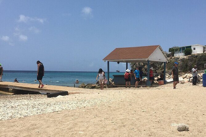 Curacao Sea Turtle Swim and West Side Natural Highlights - Is This Tour Worth It?