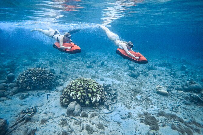 Curaçao Seabob in Playa Piskado Adventure with Sea Turtles - Key Points