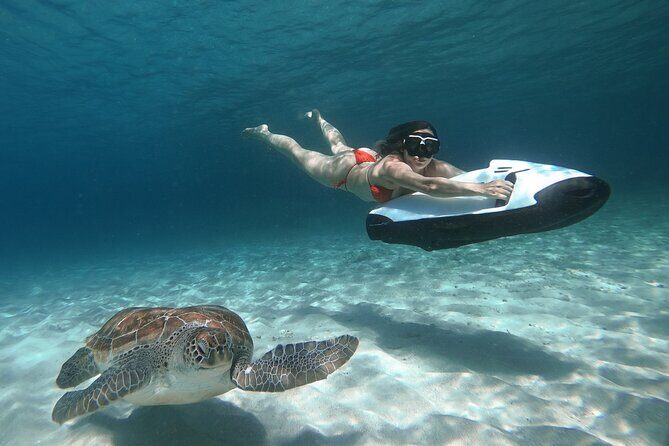 Curaçao Seabob in Playa Piskado Adventure with Sea Turtles - A Closer Look at What You Can Expect