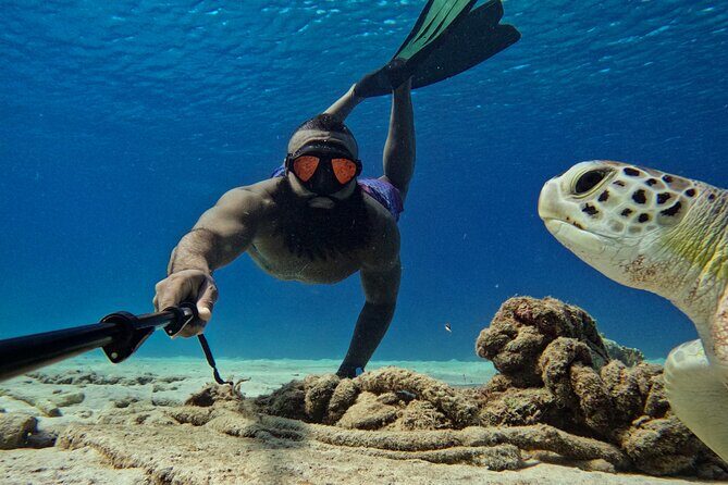 Curaçao Seabob in Playa Piskado Adventure with Sea Turtles - The Sum Up