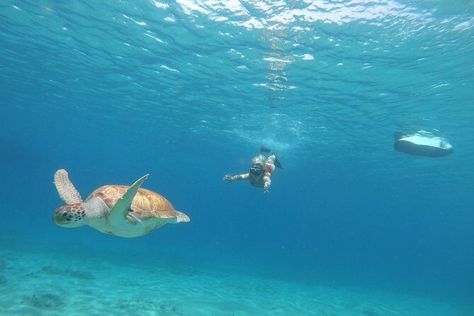 Curaçao Seabob Tour (by Bearded Butlers Curaçao) - Practical Considerations
